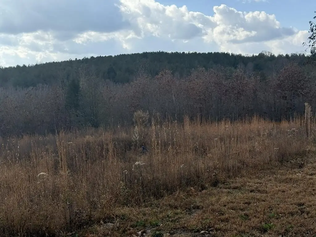 Picture 14