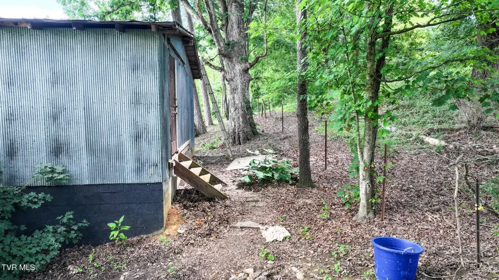 Picture 19