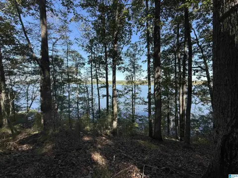Waterfront Lot on Lay Lake