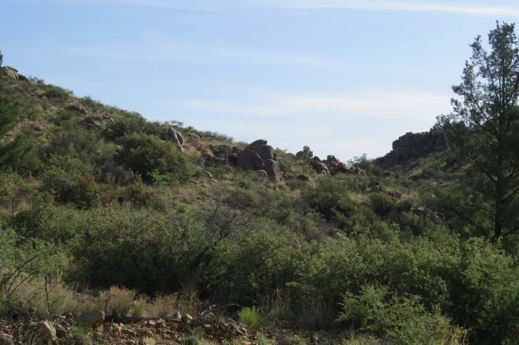 Picture 6