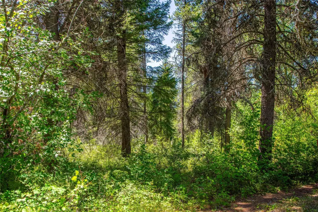 Picture 36