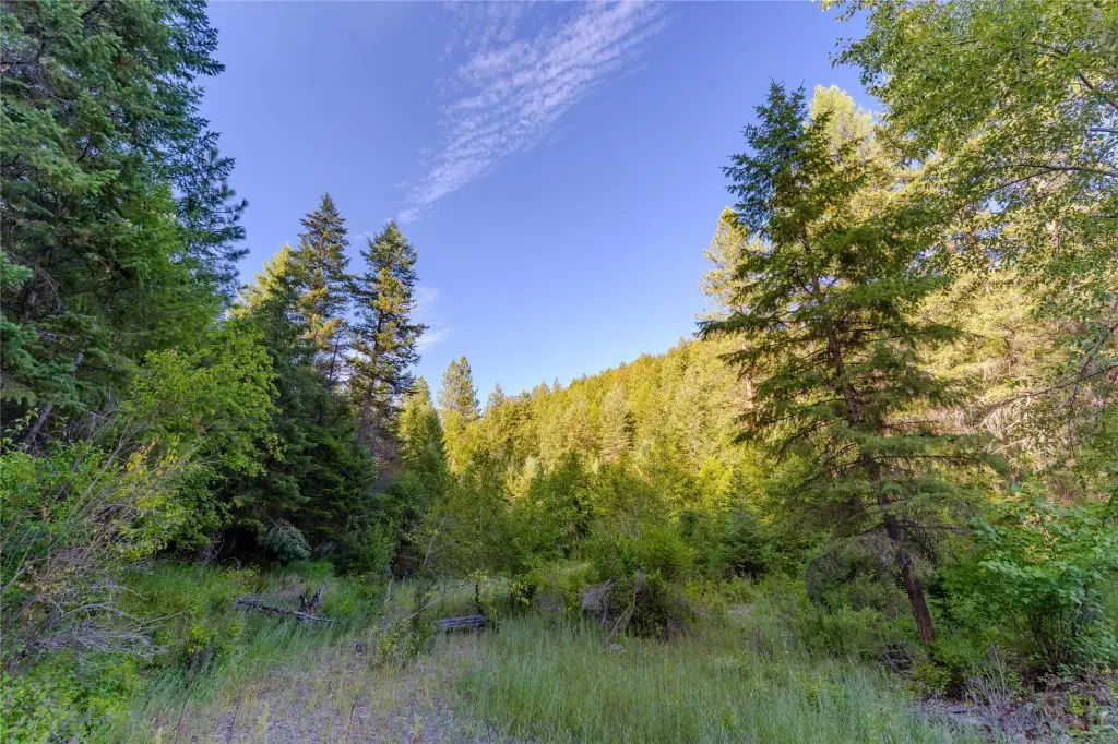 Picture 33