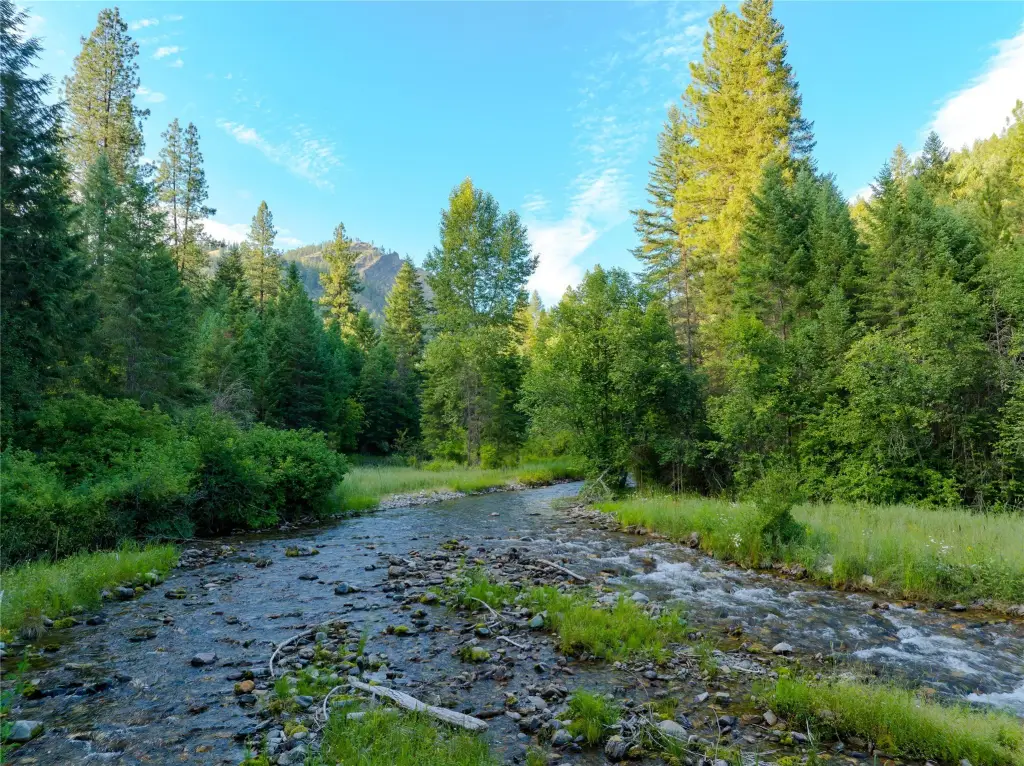 Picture 7