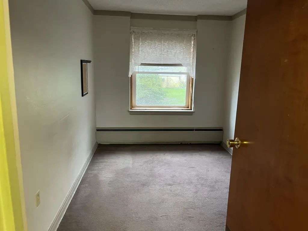 Picture 41