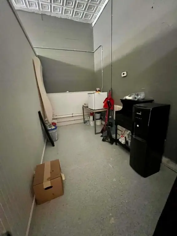 Picture 11