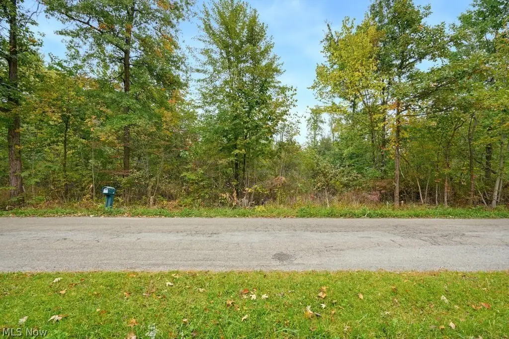 Picture 5