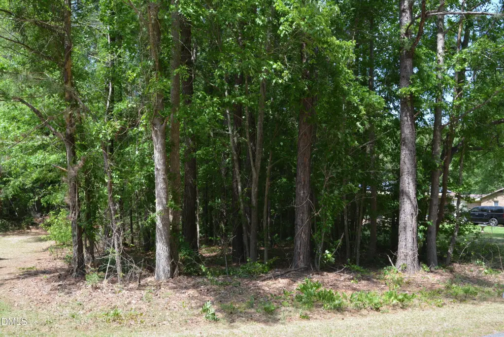 Picture 3