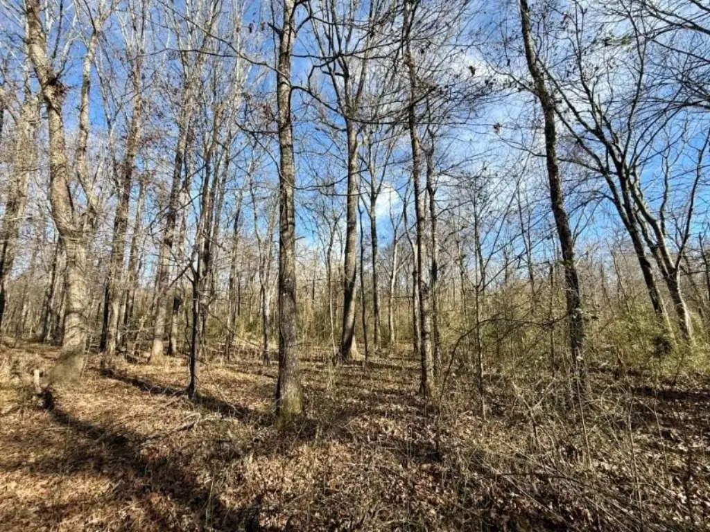 Picture 7