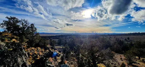 320 Acres Recreational Land Escape