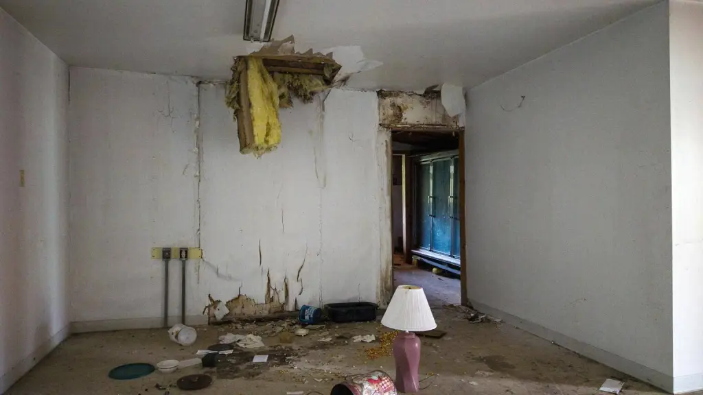 Picture 29