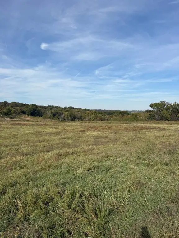 Picture 25