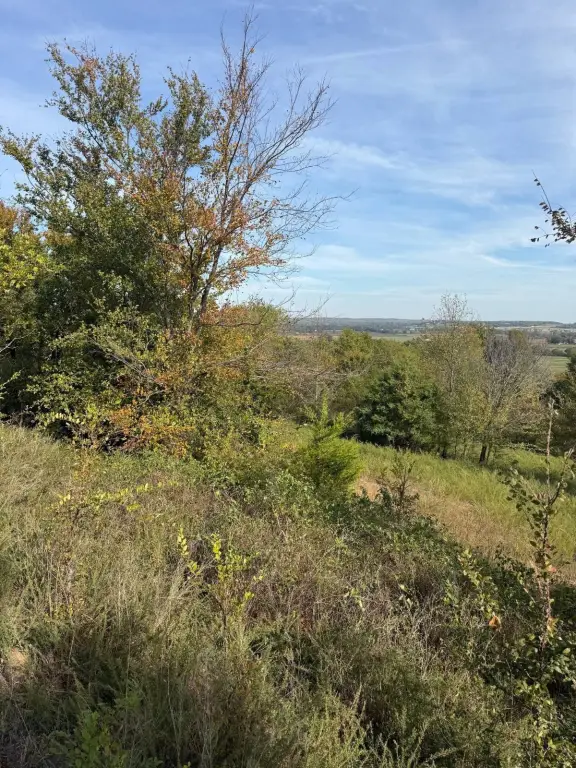 Picture 19