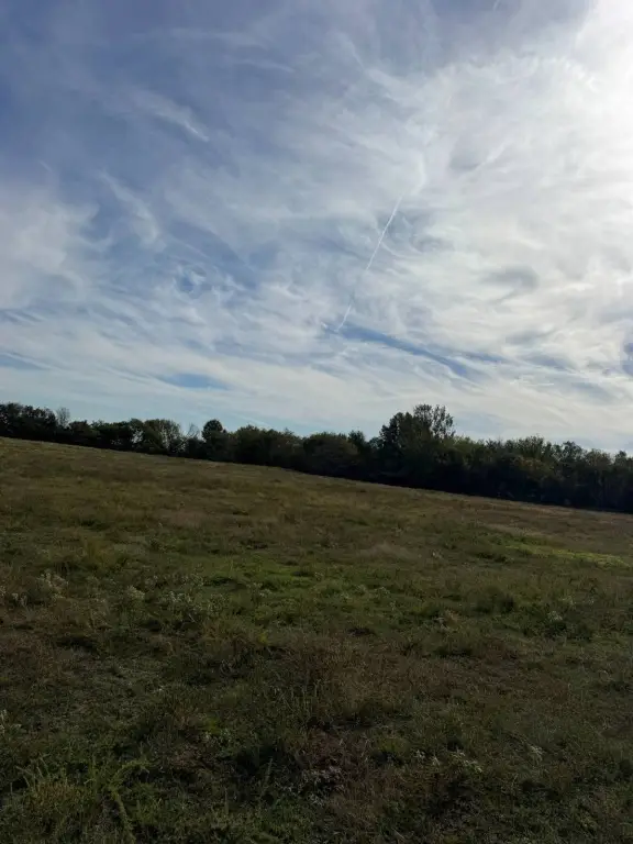 Picture 18