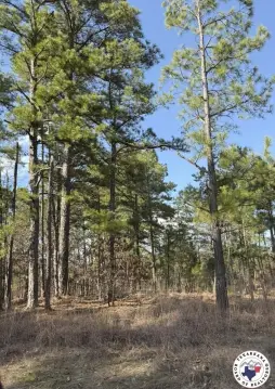 Land in Texarkana, Arkansas