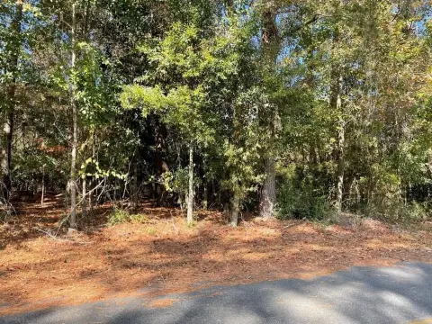 Lake Jennifer Wooded Residential Lot