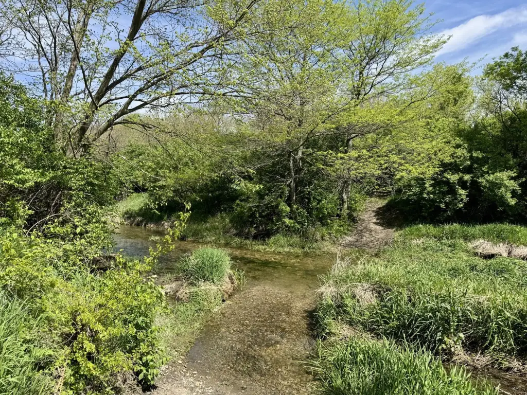 Picture 13