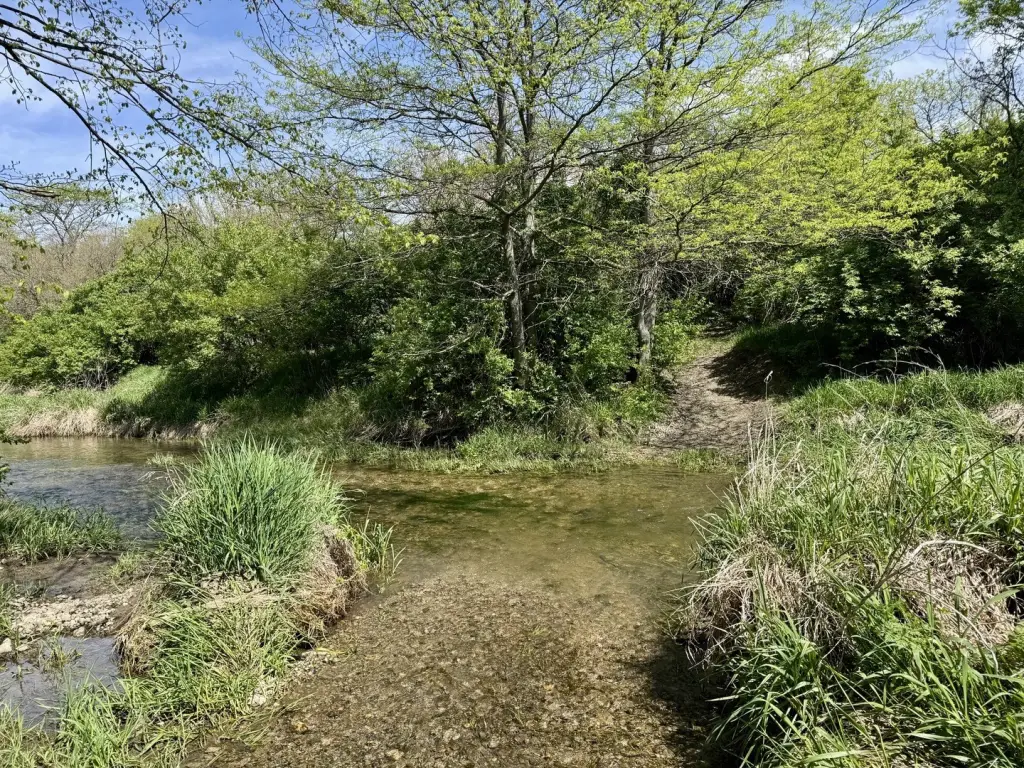 Picture 3