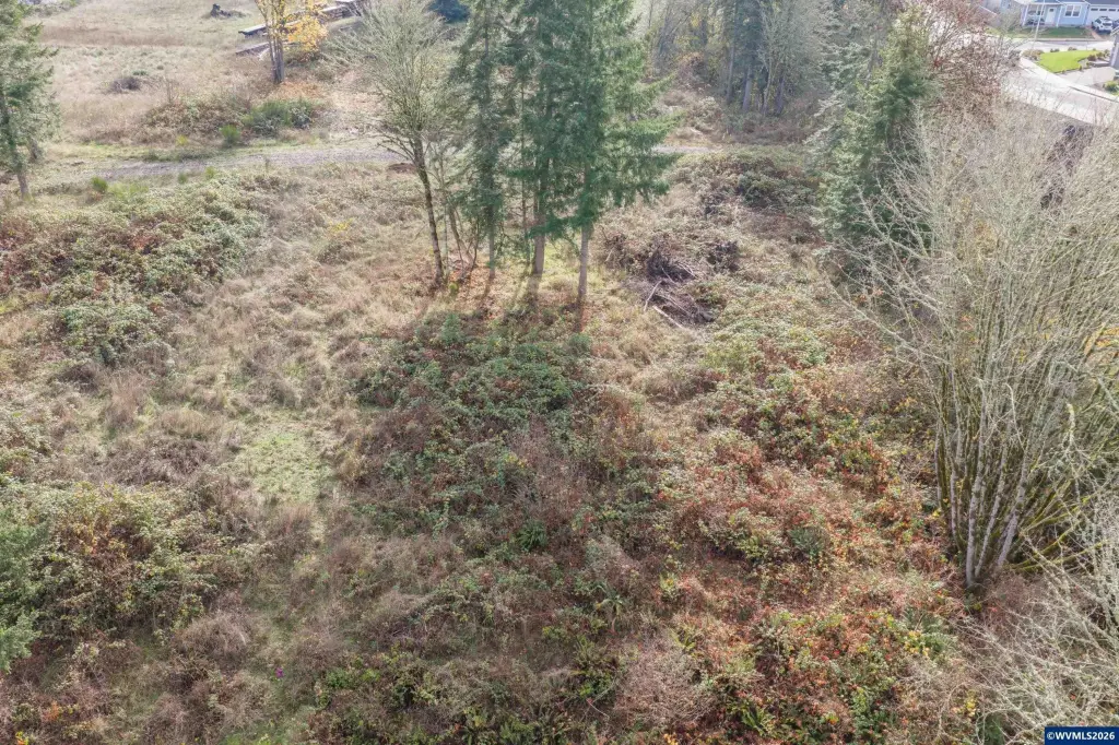 Picture 28