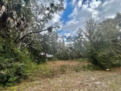 Cleared Lot in Perry, FL