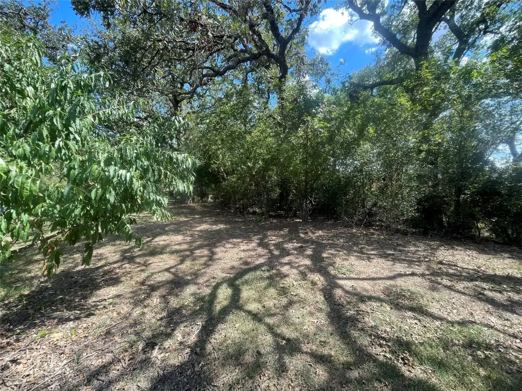 Picture 26