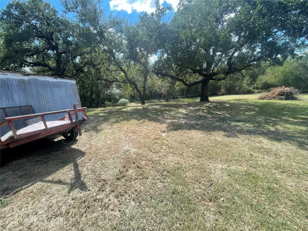 Picture 23