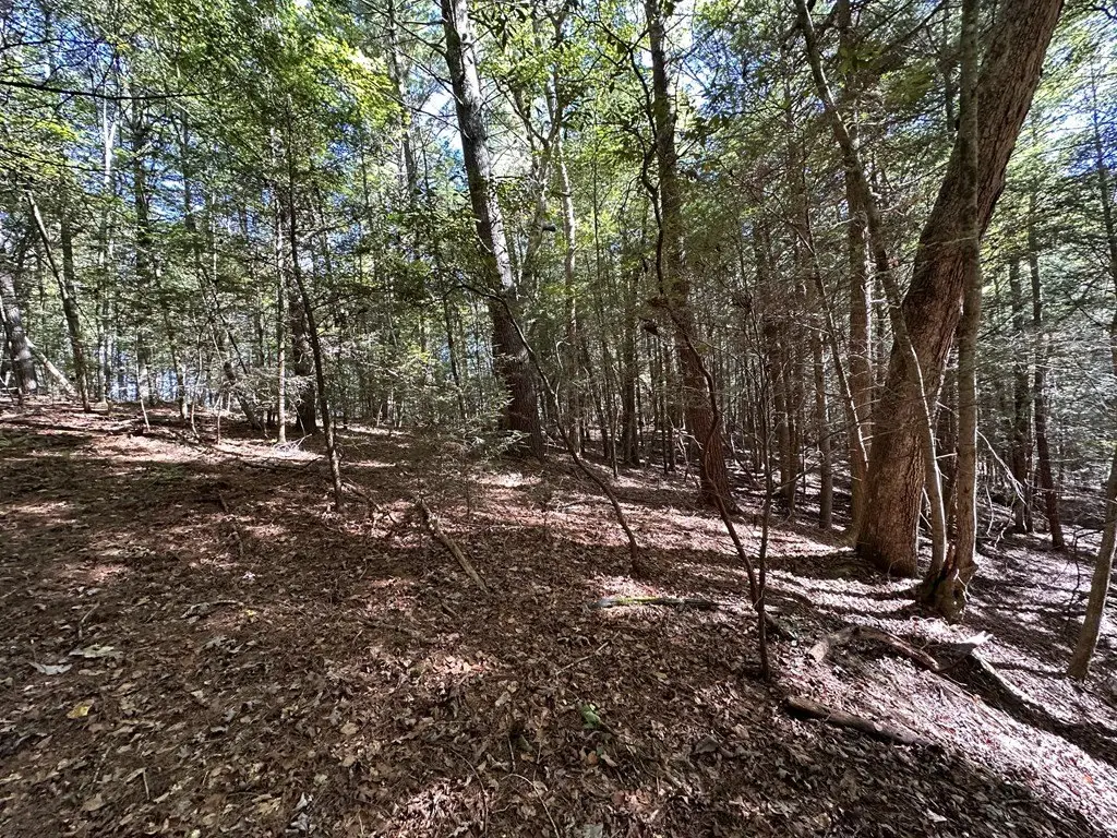 Picture 15