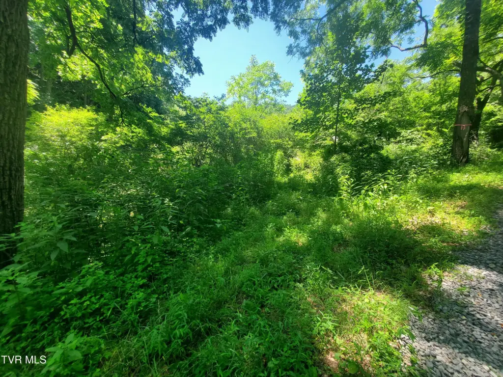 Picture 24