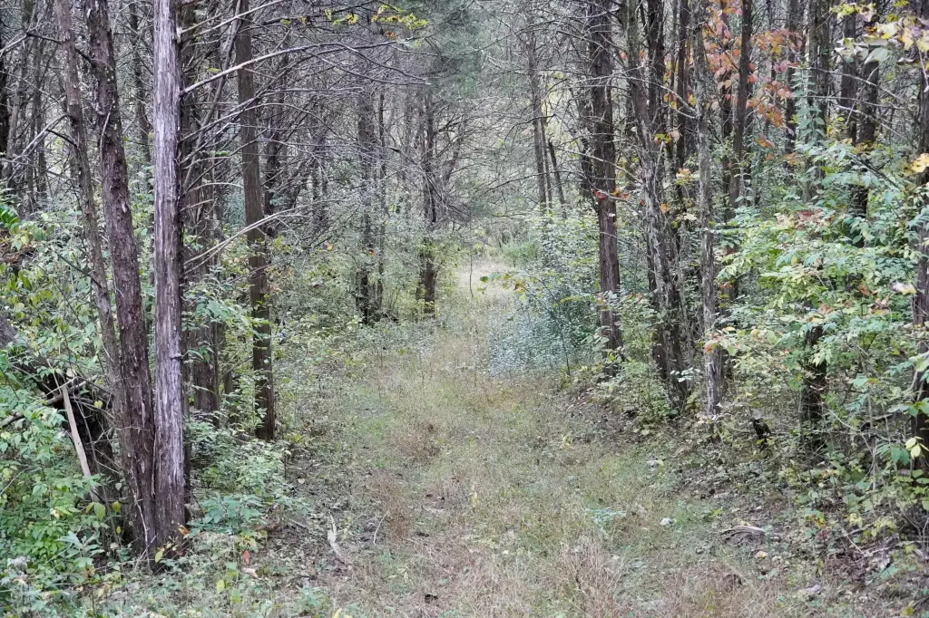 Picture 27