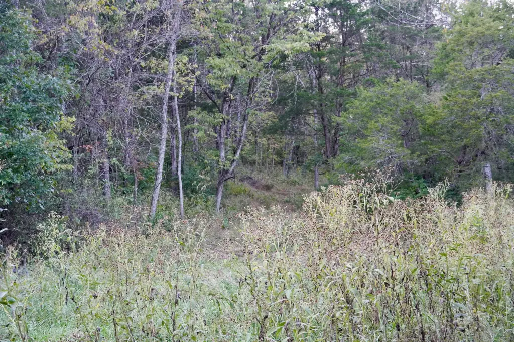 Picture 23