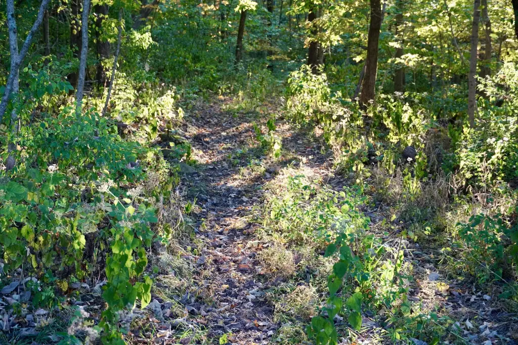 Picture 12