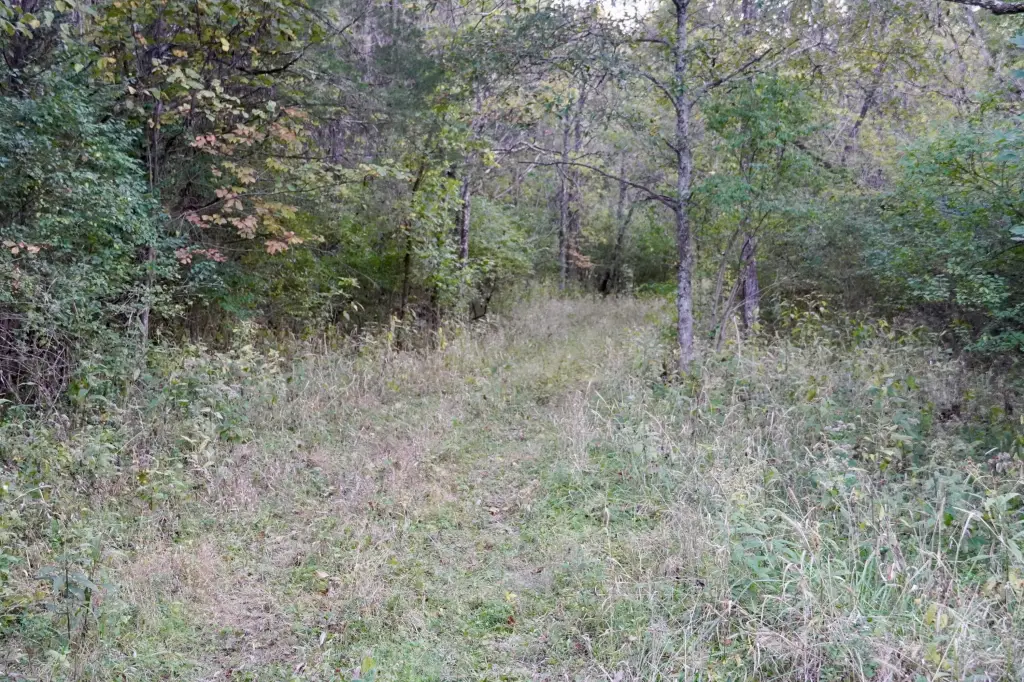 Picture 22