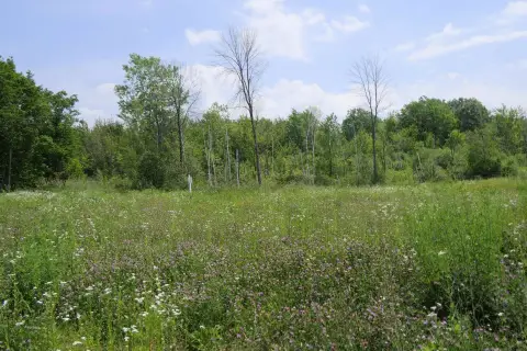 Serene Land Parcel in Swanton