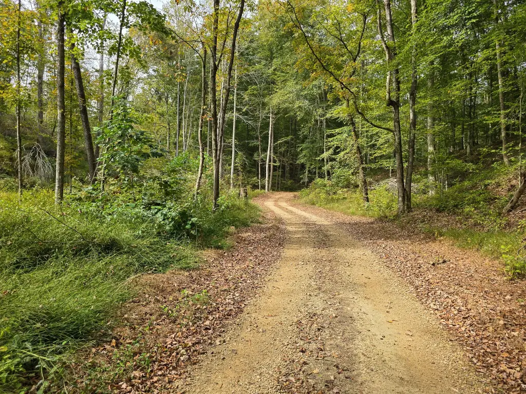 Picture 19