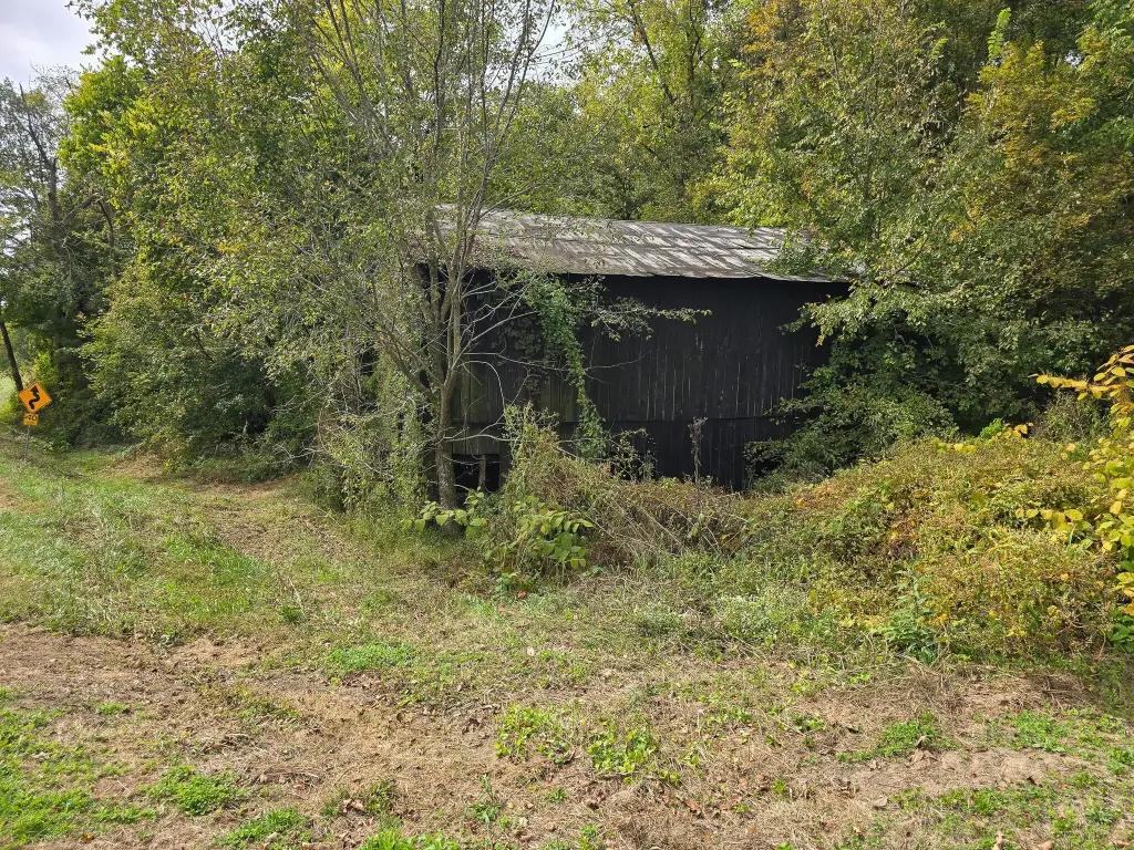 Picture 14