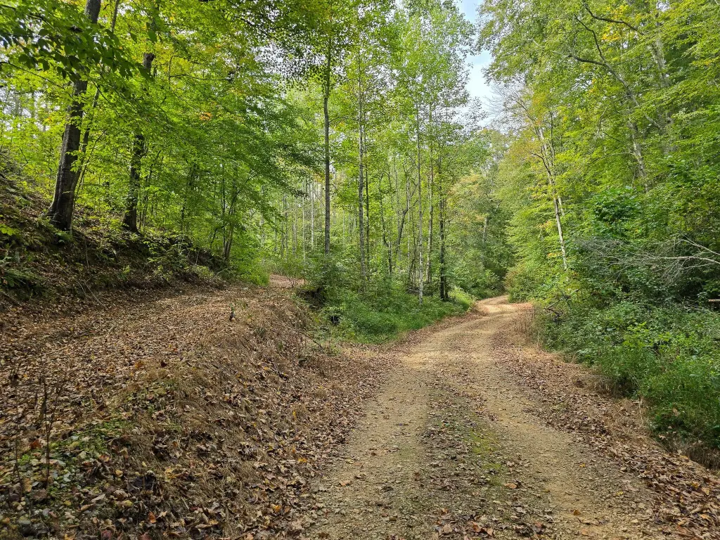 Picture 20