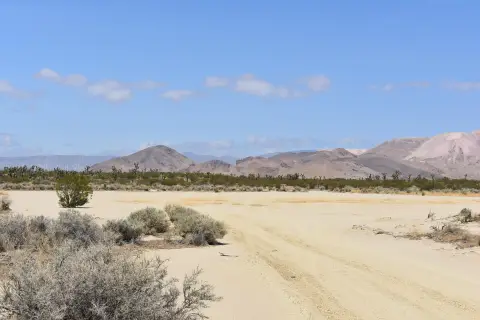 Mojave Agricultural Land For Sale