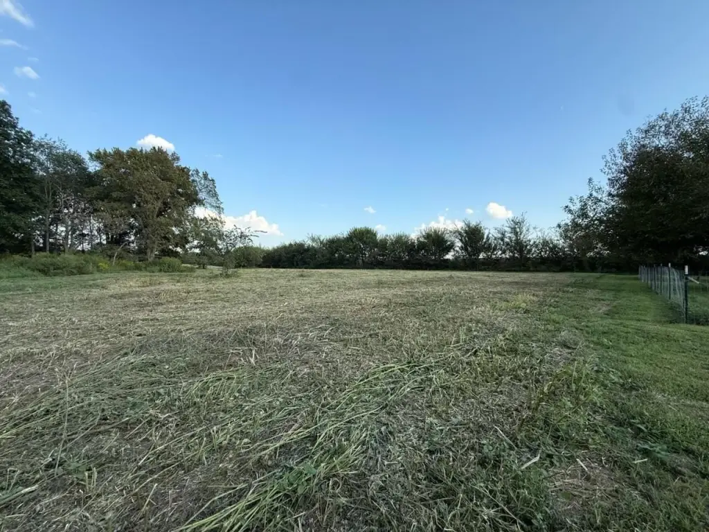 Picture 15