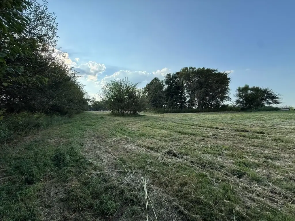Picture 4