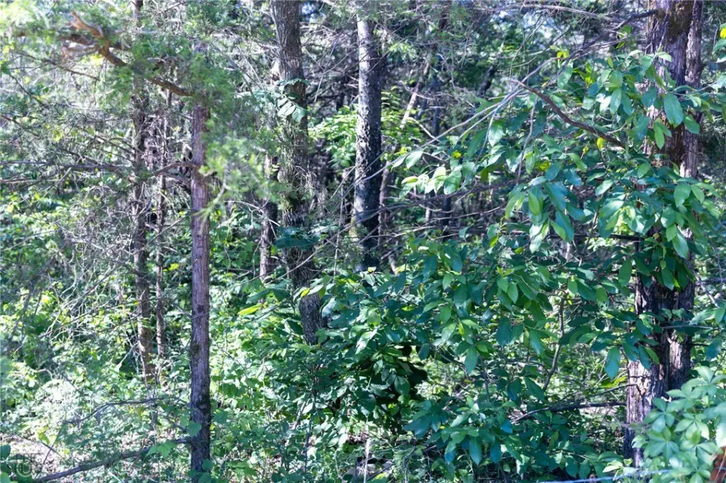Picture 23