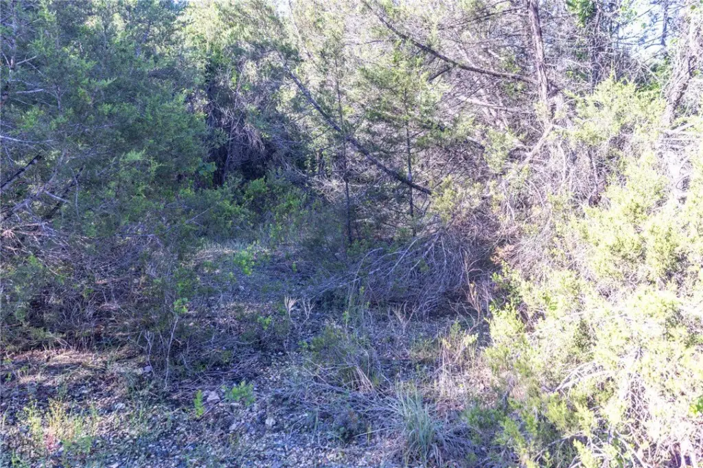 Picture 31