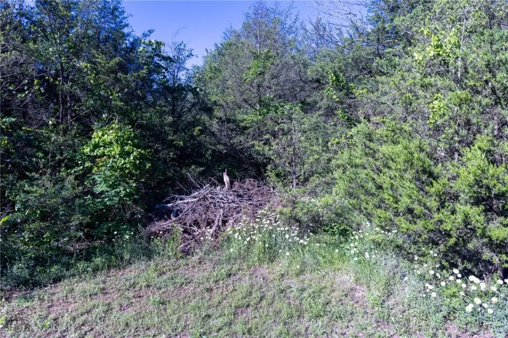 Picture 24