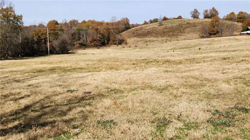 Picture 41