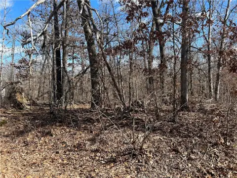 Residential Land in Bella Vista