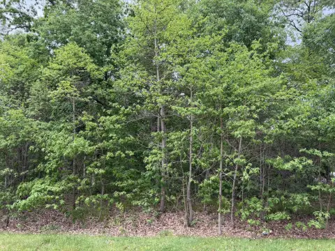 Wooded Acre Lot in DeMotte