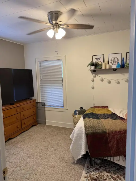 Picture 29