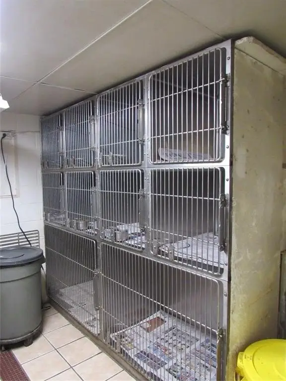 Picture 9