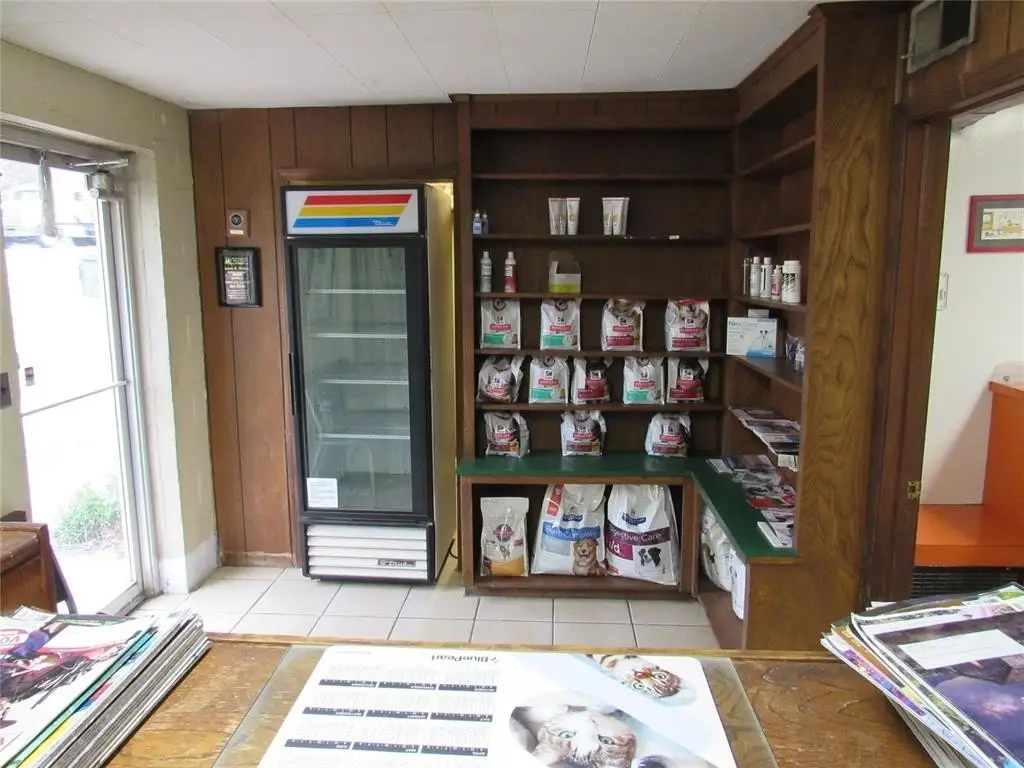 Picture 6