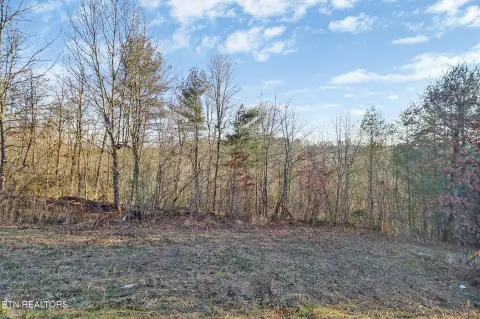 Unrestricted Land Near Byrd's Creek