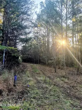 Englewood TN Pristine Wilderness Land
