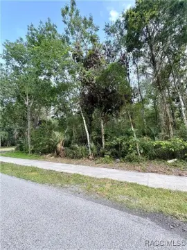 Wooded Lot in Crystal River